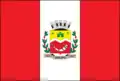 Flag of Irupi