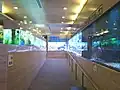 The aquarium
