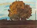 Great tree at Mártély (1910)