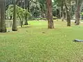 Palace grounds