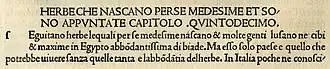 The roman type of Nicolas Jenson