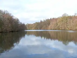 Windsor Great Park