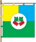 Flag of Kalynivka