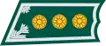 Kapteeni Finnish Defence Force