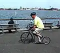 Stuyvesant Cove Park, New York City, 2010