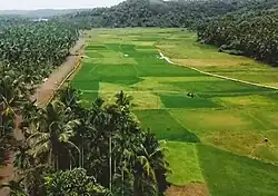 Kinanoor