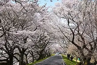 Kisogawazutsumi