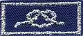 District Award of Merit