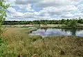 Kootwijkerveen