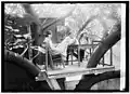 A 23-year-old Cleon "Throck" Throckmorton, 18-year-old Kathryn Mullin,[d] and a friend, possibly Mildred McDonald,[52] wearing a tricorne hat, relax and enjoy refreshments in the club's tree house cafe.