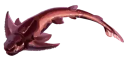 Kudjanowiaspis