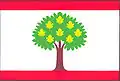 Flag of Kutrovice