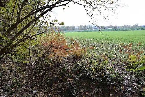 Laerbeek Wood with field and railroad in the distance
