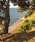 Ladies Bay