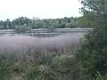 View of Lake Salinella