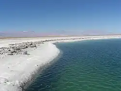 Laguna Cejar