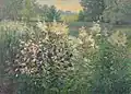 Landscape with bell flowers