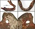 Burial 18 - Child mandible. Teeth removed and drill perforated