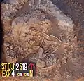 Burial 19. Excavation at phase 4.