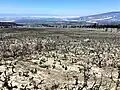 Burned area on July 28, 2021