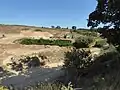 Leet Hill, Kirby Cane