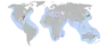 Distribution de C. caretta. Los círculos rojos representan los mayores anidamientos. Los amarillos son los de menor cuantía.