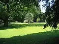 Castle park