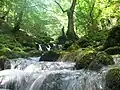 Lještanica river near Bijelo Polje