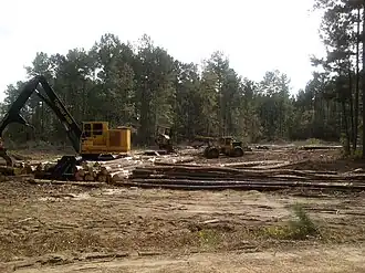 Logging operation at BLSF