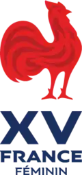 Shirt badge/Association crest