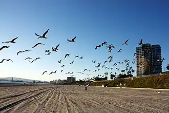The beach below Bluff Park