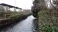 Lower Wandle River