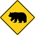 W11-16 Bear