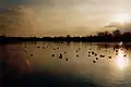 Feldmochinger See