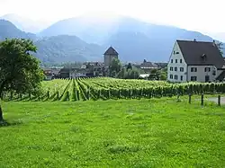 View of the castle and surroundings