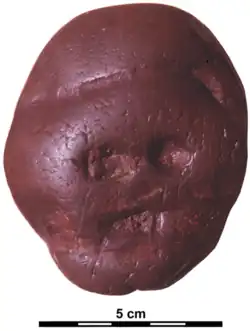 Makapansgat pebble