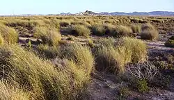 View of the El Carmolí area