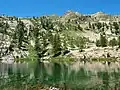 The lake