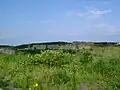Abandoned building complex