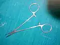 Artery forceps or Haemostat