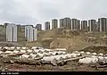 Mehr Housing, Pardis
