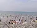 The sand exposed at low tide