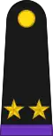 Teniente Coronel