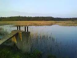 Lake