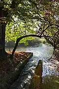 Tail race rejoining River Meon.