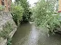 The Castle Mill Stream, near Oxpens Road.