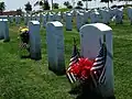 Headstones in Area&nbsp;7