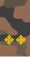 Mongolian Army-2LT-field 1998-2011