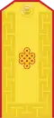 Mongolian Army-BRG-parade 2006-2011