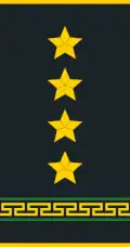 Uniform shirt shoulder board (Captain)